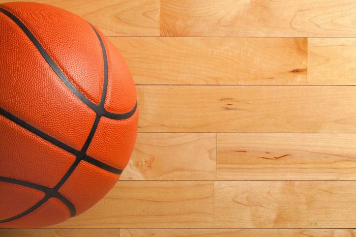 Jenis lantai kayu lapangan basket